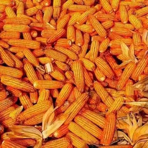 实验中学2018级17班：国庆节快乐！祝祖国繁荣昌盛！！愿同学们天天进步！！！