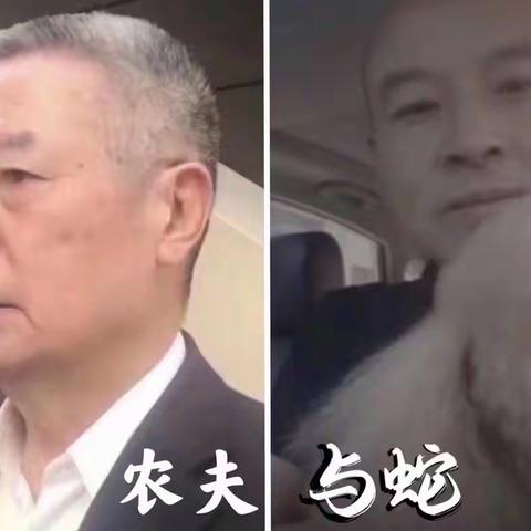 2022年刘世森 和刘八（农夫与蛇）