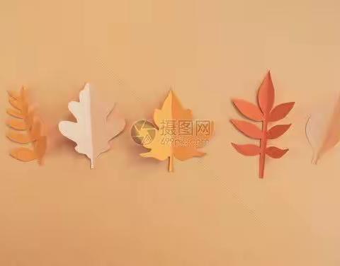 空色的风琴的美篇