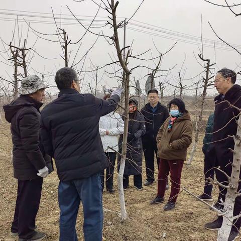 永合会镇积极做好林业技术服务工作