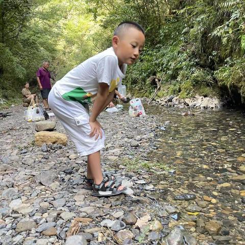 硒都民族实验小学209班胡珂旗暑假实践