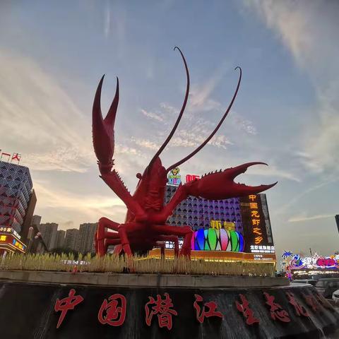 游记3—身边的现代农业