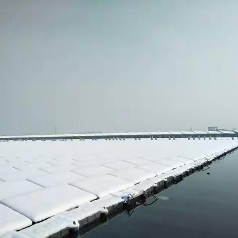 银装素裹的光伏区