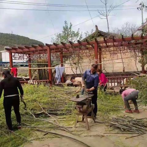 色河铺镇：不负好春光积极开展义务植树活动