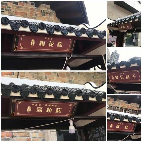 沈桐宇的研学之旅