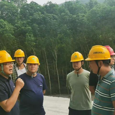 公司党委书记、执行董事李仕宏到勐关、勐绿项目检查指导项目建设工作