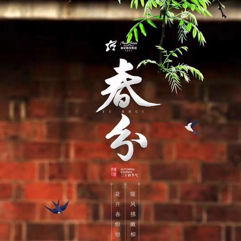 “空中课堂”凝智慧，“线上教学”别样情——育才小学六年级线上教学阶段小结