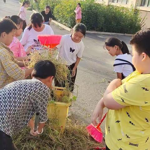 新学期第一次劳动课