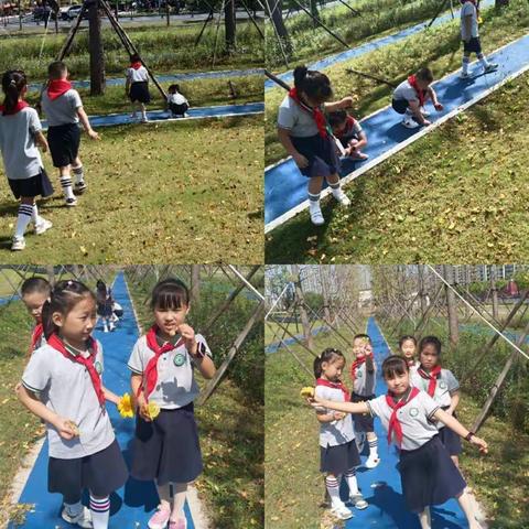 初秋之韵，寻美之路