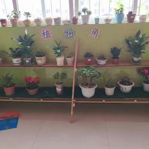 孝学二班，三月的快乐时光