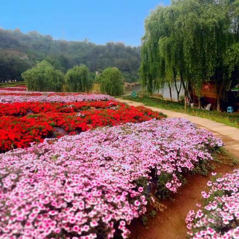 四川省乡村旅游节开幕式