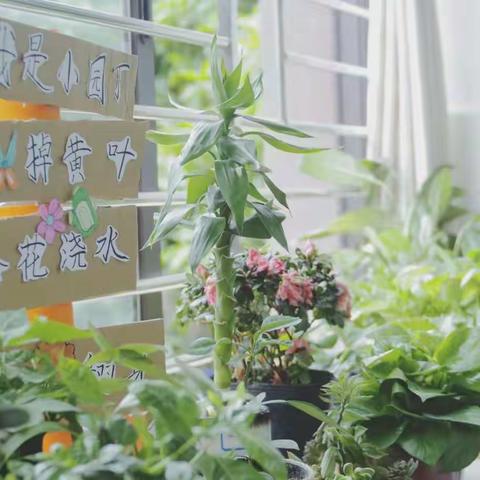 班级文化建设（包括宿舍文化建设）