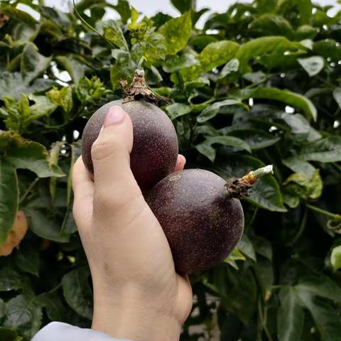 常听古人云，常思己过