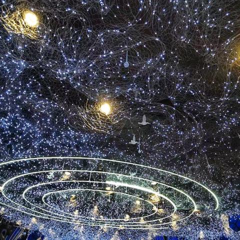 寿天星（外一首）