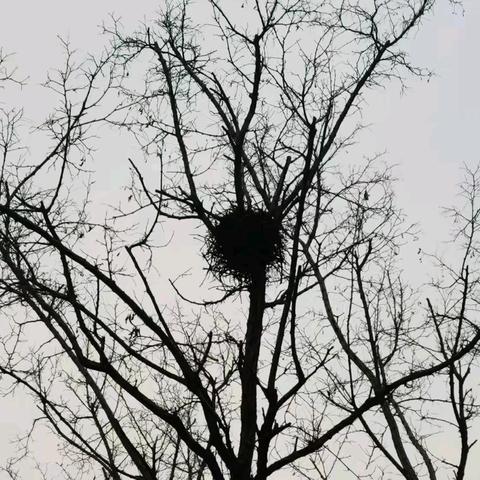 踏春（外一首）