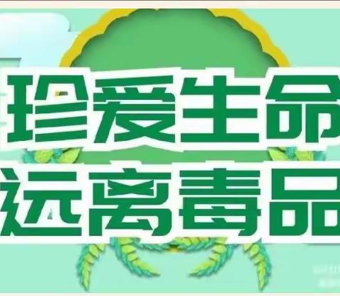 冉堌镇潘刘庄小学开展“禁毒宣传”进校园活动