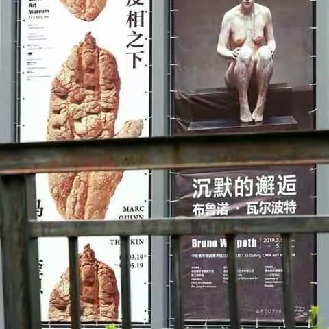 摄眼看美展