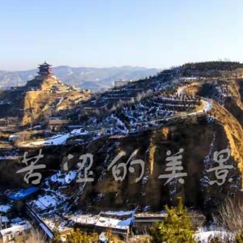 苦涩的美景