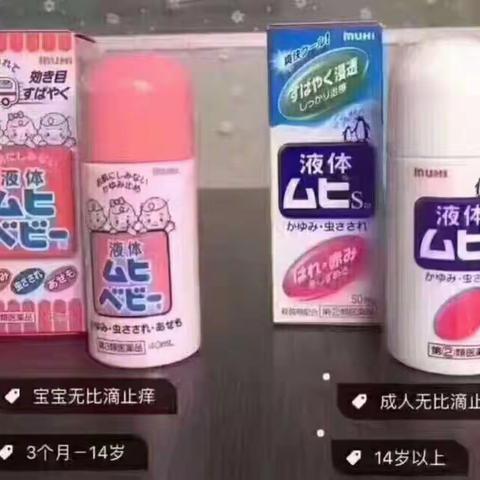 松岛海岸爆款都有现货