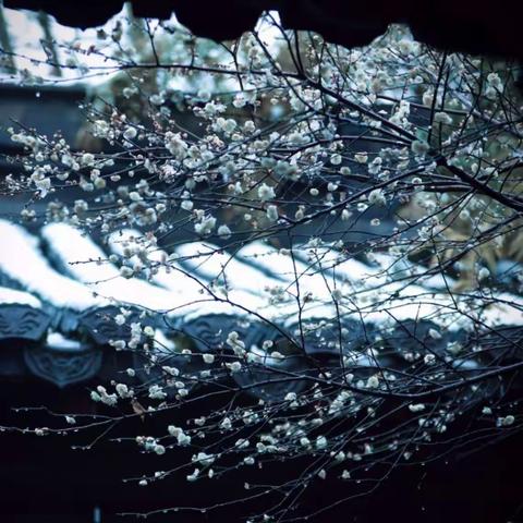 文人墨客遇到冬天