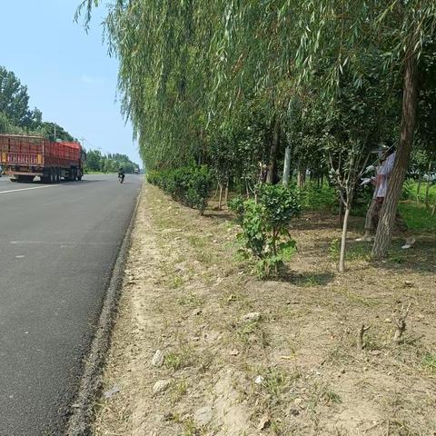 全域推进—— 梁堤头镇吹响路域环境治理“集结号”