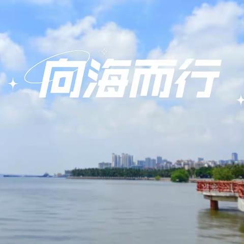 这个夏天，向海而行