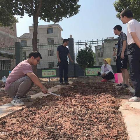 干部创先、勇闯新路——草林中心小学开展劳动教育实践活动