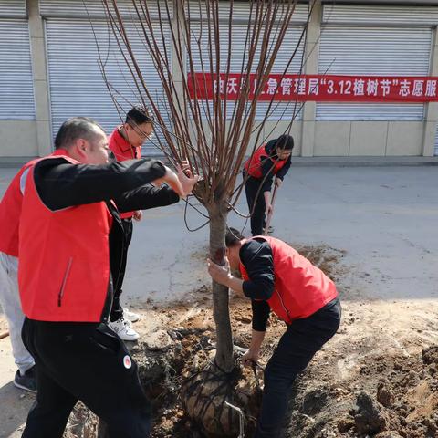 春风吹开万物苏，植树添绿正当时——县应急管理局开展义务植树活动