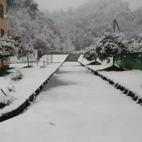 雪