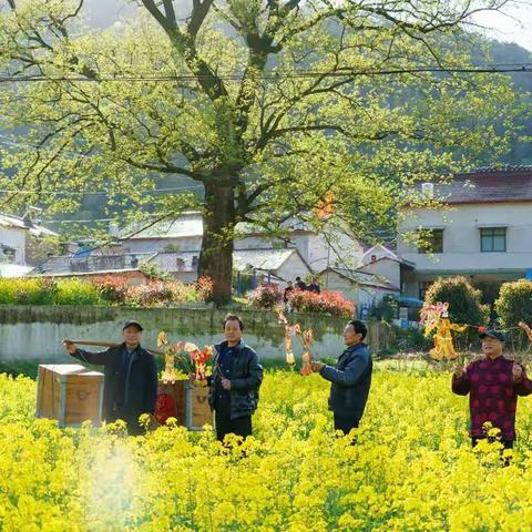 春光里，又见乡村皮影