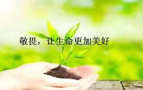 《敬畏，让生命更加美好》主题班会实录——“同心战疫情，德育在行动”系列主题班会
