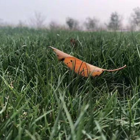 2019年敖汉旗初中英语基本功竞赛教学设计阐释活动