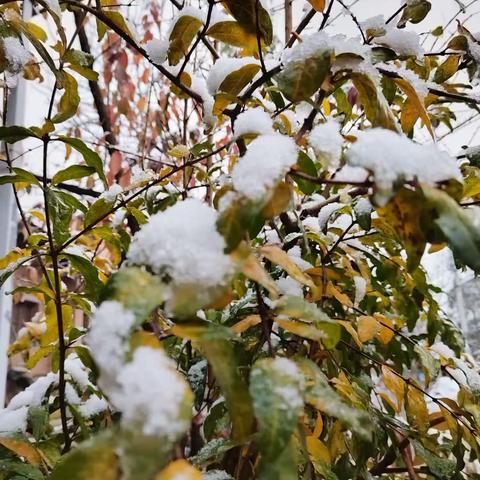 小思 & 盼雪