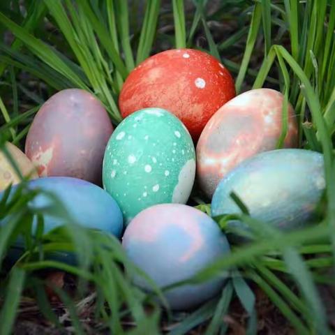 清明学传统  巧手绘彩蛋