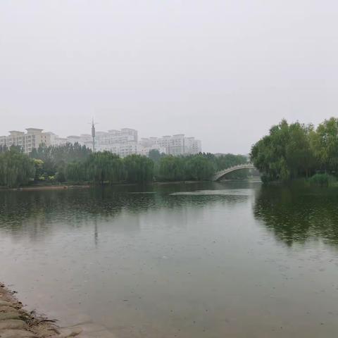 临漳县教育体育局暑期防溺水教育