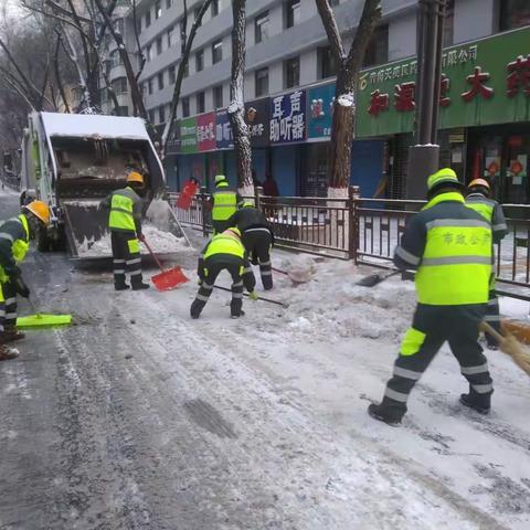 以雪为令，闻雪而动