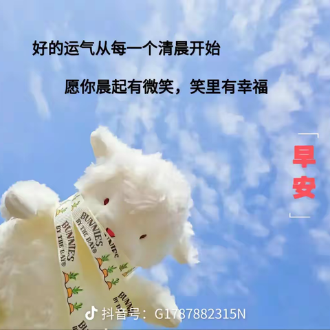 ☀️小小组线上活动11.24