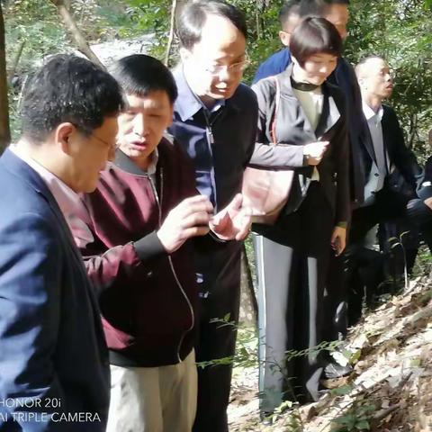 华润集团领导一行到我县考察林下仿野生灵芝种植项目