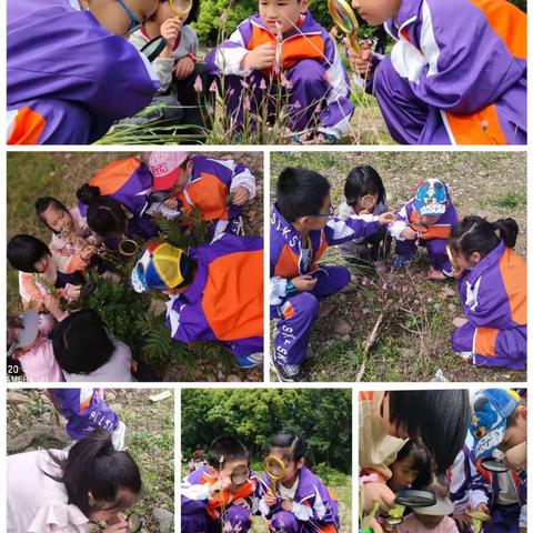 拥抱春天，寻找春天——福安师范附小一（5）班春季研学之旅