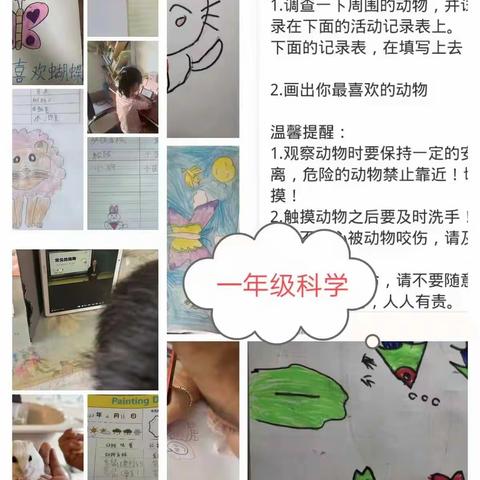 停课不停学，科学趣味无限——三亚市吉阳区月川小学科学组线上授课