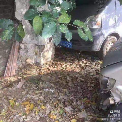 【龙马环卫】关于龙华区1月26日城乡环境综合整治专项督查整改回复