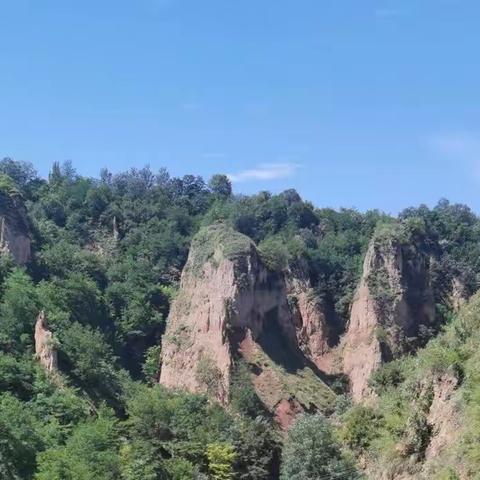 检查考核找差距 多措并举促提升