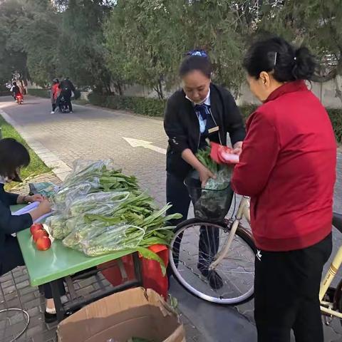🥬 太阳路送蔬菜简讯