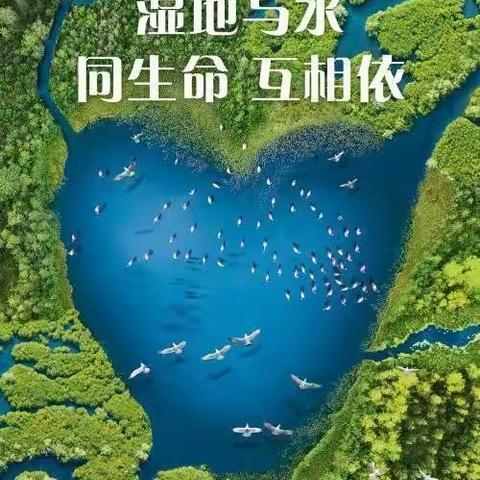 “湿地与水 同生命 互相依”东营区黄河中学开展“世界湿地日”主题活动