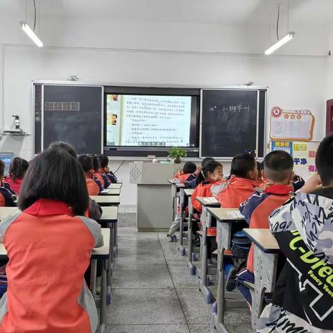 赵庄小学“正心"工作室常规教研语文大单元教学，“预测”策略单元教学研讨活动
