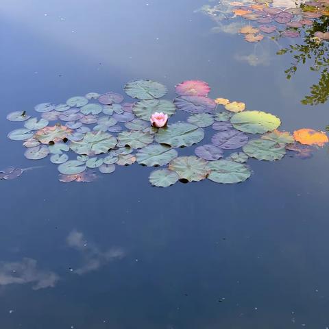 德国小镇：Bad Aibling