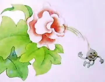 语言：小花籽找朋友