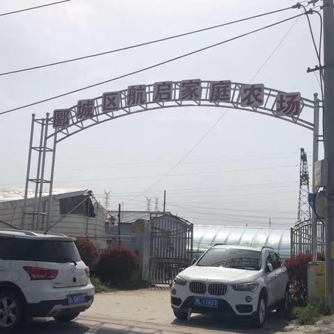中国人寿收展部春季踏青采摘活动