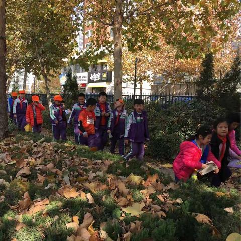 蓓蕾辅导班寒假班开始报名啦！开课时间：（腊月十一至腊月二十四共十四天）