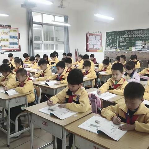 金星小学203班《发现你的美》——多姿多彩的校园生活